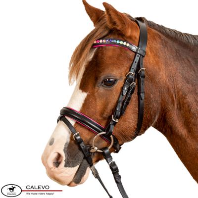 Waldhausen - Pony Trense PINKY CALEVO.com Shop