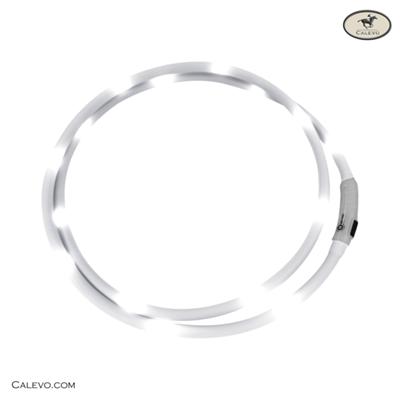 Waldhausen - LED Halsriemen fr Pferde -- CALEVO.com Shop